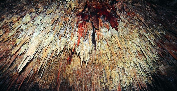 Σπήλαιο Καστανιάς Λακωνίας