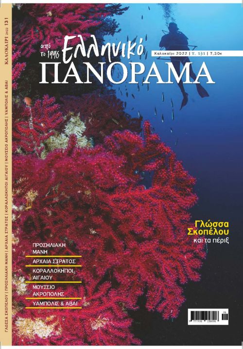 Ποσειδωνία (Posidonia oceanica). Τα θαλασσινά λιβάδια
