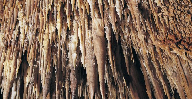 Μαρώνεια, το σπήλαιο του Κύκλωπα Πολύφημου